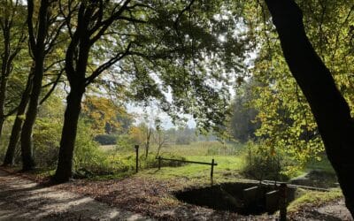Van denken naar doen