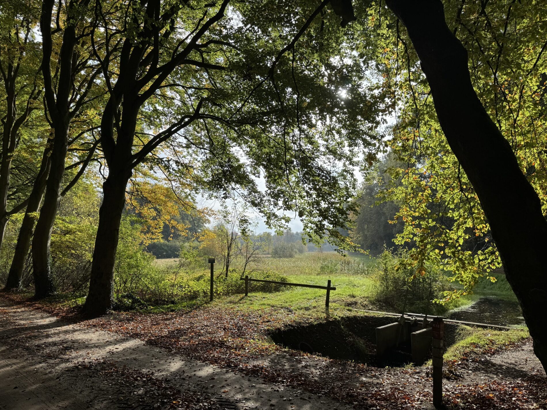 Van denken naar doen