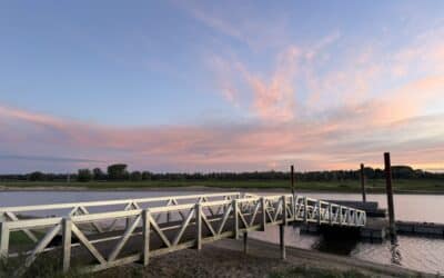 De kunst van het loslaten. Stop met vechten tegen je gedachten!