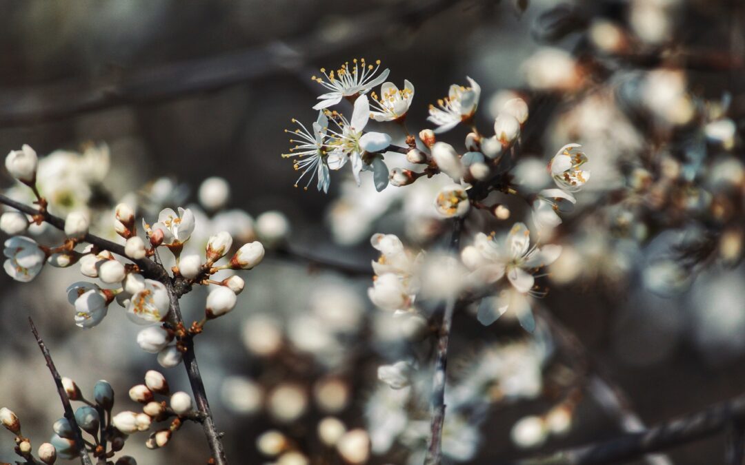 Nieuw jaar, nieuwe kansen, maar vooral: ruimte om te kiezen