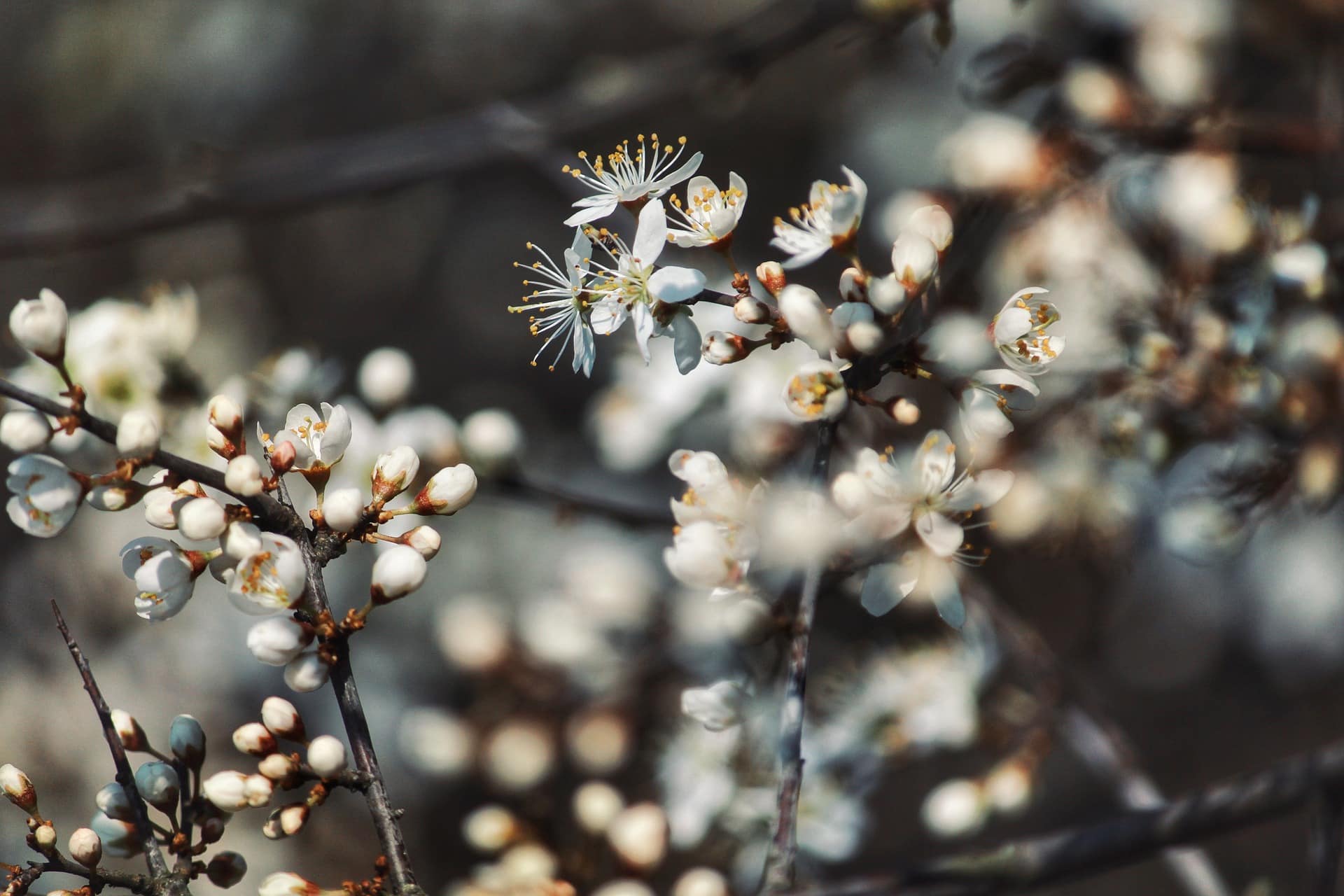 Nieuw jaar, nieuwe kansen, maar vooral: ruimte om te kiezen